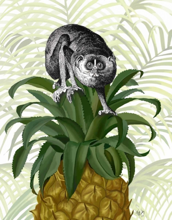 Picture of LORIS ON PINEAPPLE