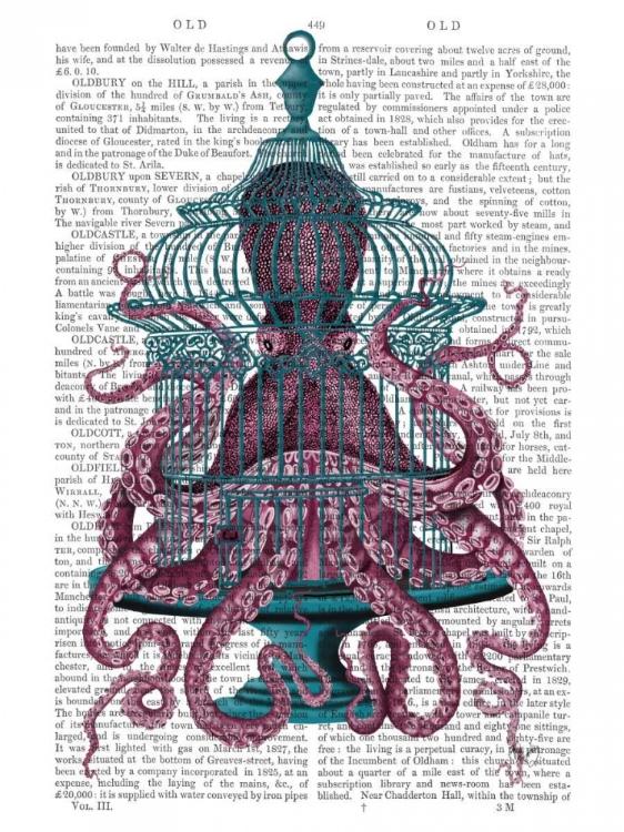 Picture of PINK OCTOPUS IN CAGE