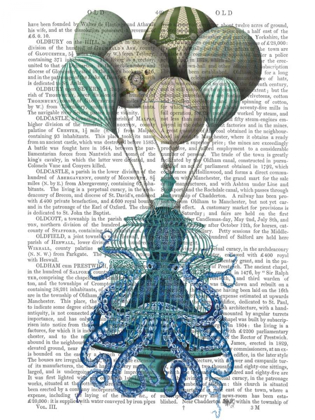 Picture of OCTOPUS CAGE AND BALLOONS