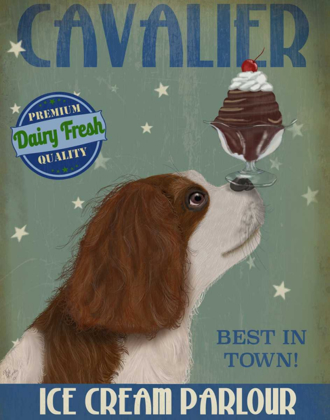 Picture of CAVALIER KING CHARLES, BROWN WHITE, ICE CREAM