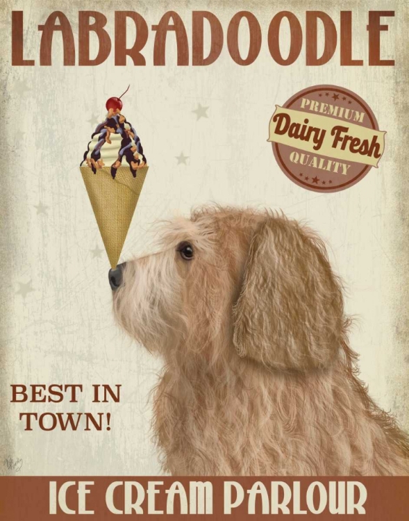 Picture of LABRADOODLE, GOLDEN, ICE CREAM