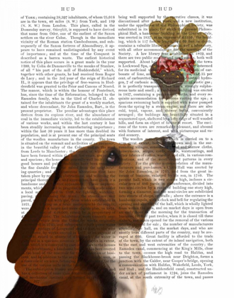 Picture of BASSET HOUND ICE CREAM