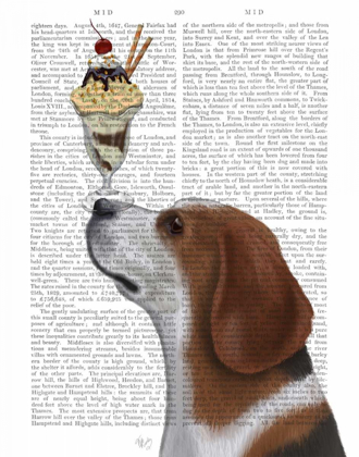 Picture of BEAGLE ICE CREAM