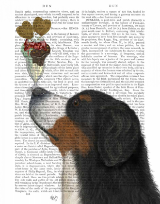 Picture of BERNESE ICE CREAM