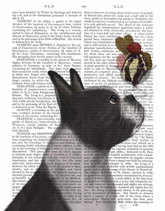 Picture of BOSTON TERRIER ICE CREAM