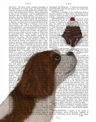 Picture of CAVALIER KING CHARLES, BROWN WHITE, ICE CREAM