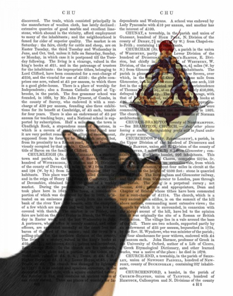 Picture of CHIHUAHUA, BLACK AND GINGER, ICE CREAM