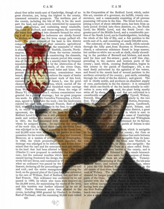 Picture of CORGI, BLACK AND TAN, ICE CREAM