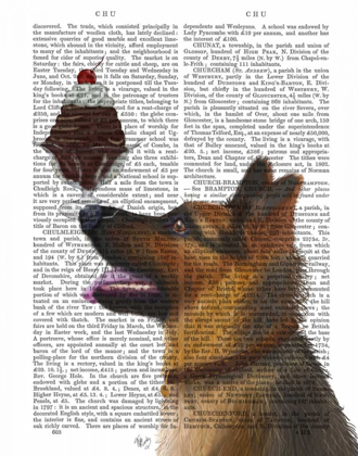 Picture of GERMAN SHEPHERD ICE CREAM