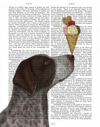 Picture of GERMAN SHORTHAIRED POINTER ICE CREAM