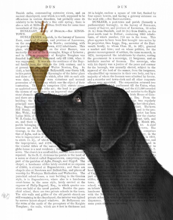 Picture of GREAT DANE, BLACK, ICE CREAM