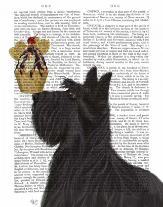 Picture of SCOTTISH TERRIER ICE CREAM