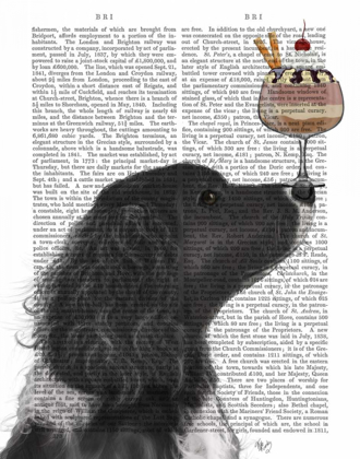 Picture of SPRINGER SPANIEL, BLACK, BEBE,ICE CREAM