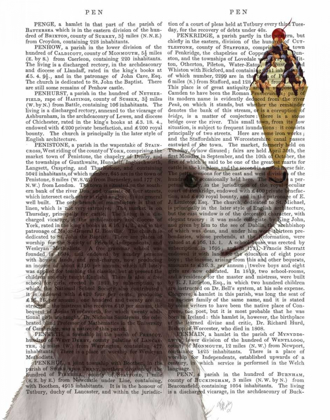 Picture of SPRINGER SPANIEL, BROWN AND WHITE, ICE CREAM