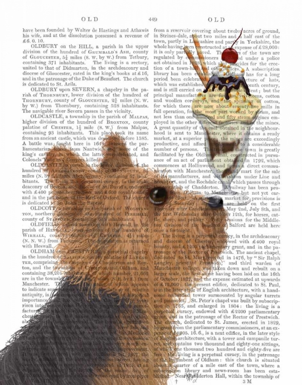 Picture of YORKSHIRE TERRIER ICE CREAM