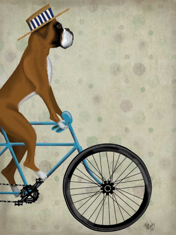 Picture of BOXER ON BICYCLE