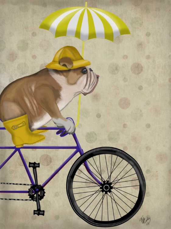 Picture of ENGLISH BULLDOG ON BICYCLE