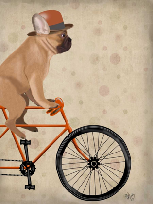 Picture of FRENCH BULLDOG ON BICYCLE