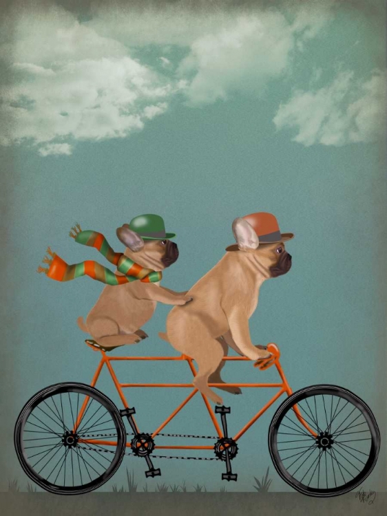 Picture of FRENCH BULLDOG TANDEM