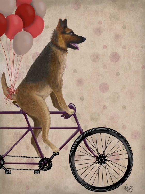 Picture of GERMAN SHEPHERD ON BICYCLE