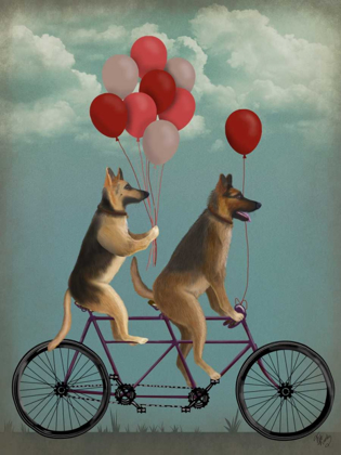 Picture of GERMAN SHEPHERD TANDEM