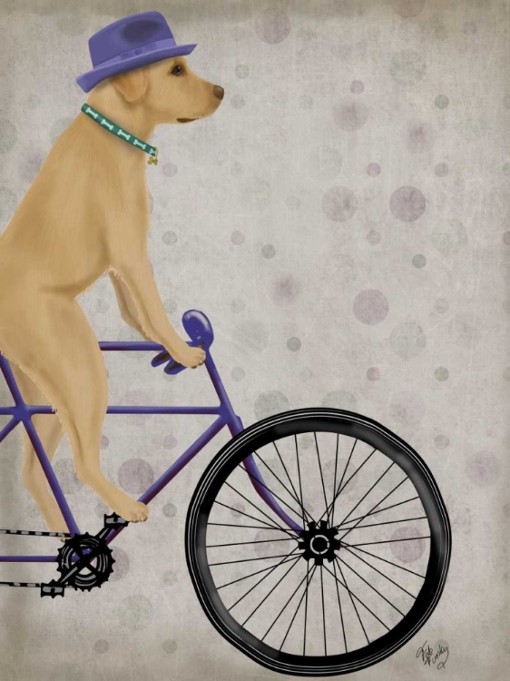 Picture of YELLOW LABRADOR ON BICYCLE