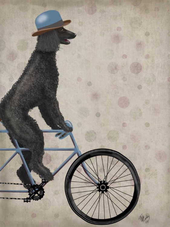 Picture of POODLE ON BICYCLE, BLACK