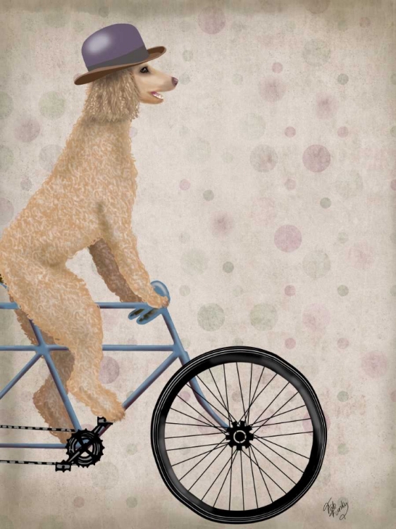 Picture of POODLE ON BICYCLE, CREAM