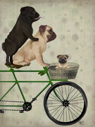 Picture of PUGS ON BICYCLE