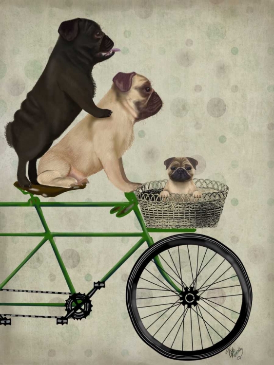 Picture of PUGS ON BICYCLE