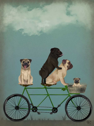 Picture of PUG TANDEM