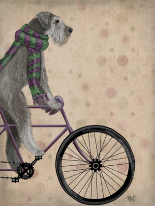 Picture of SCHNAUZER ON BICYCLE, GREY