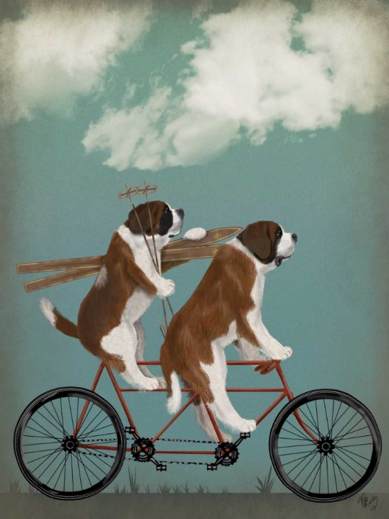 Picture of ST BERNARD TANDEM