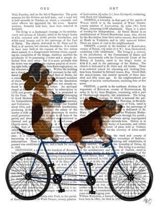 Picture of BASSET HOUND TANDEM