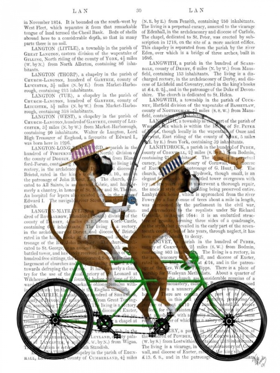 Picture of BOXER TANDEM