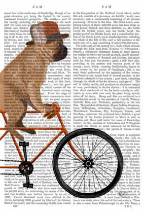 Picture of FRENCH BULLDOG ON BICYCLE