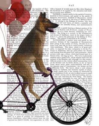 Picture of GERMAN SHEPHERD ON BICYCLE