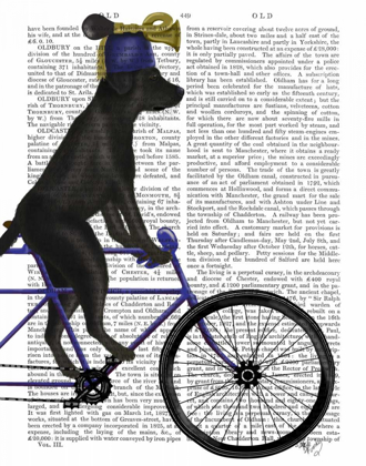 Picture of BLACK LABRADOR ON BICYCLE