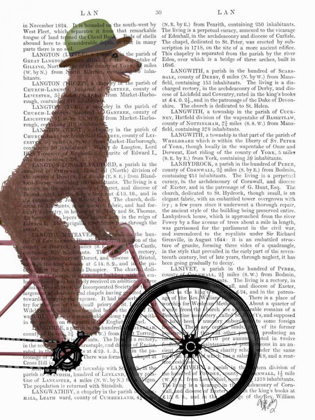 Picture of POODLE ON BICYCLE, BROWN