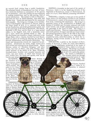 Picture of PUG TANDEM