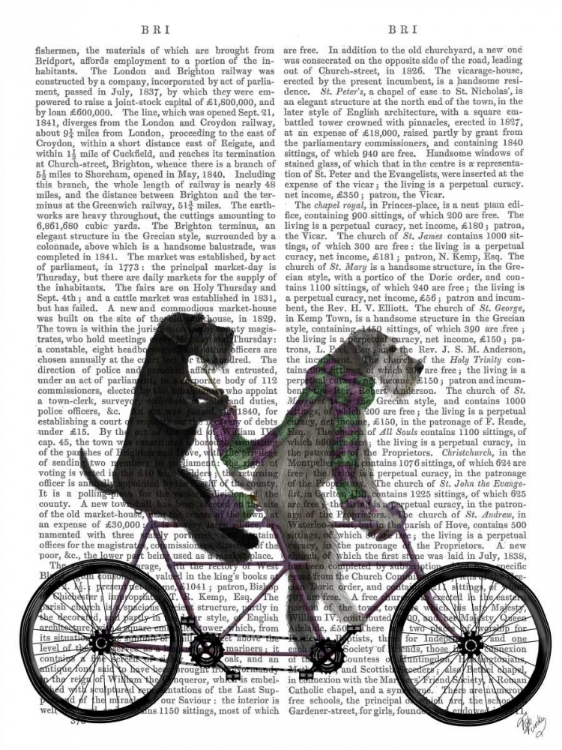 Picture of SCHNAUZER TANDEM