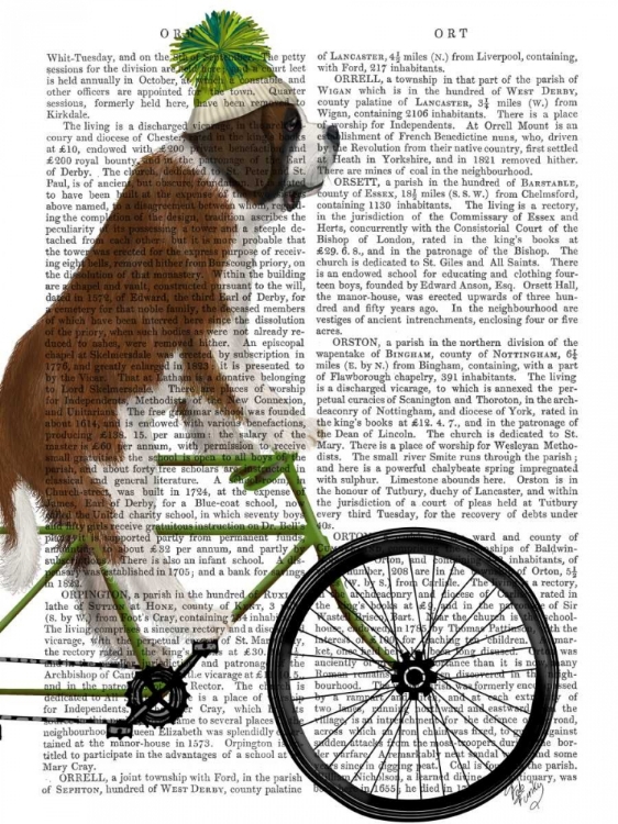 Picture of ST BERNARD ON BICYCLE