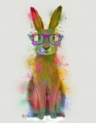 Picture of RAINBOW SPLASH RABBIT 1