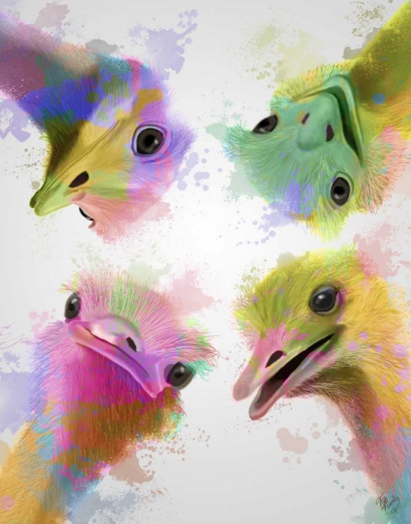 Picture of RAINBOW SPLASH FOUR OSTRICHES