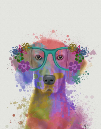 Picture of RAINBOW SPLASH WEIMARANER, PORTRAIT