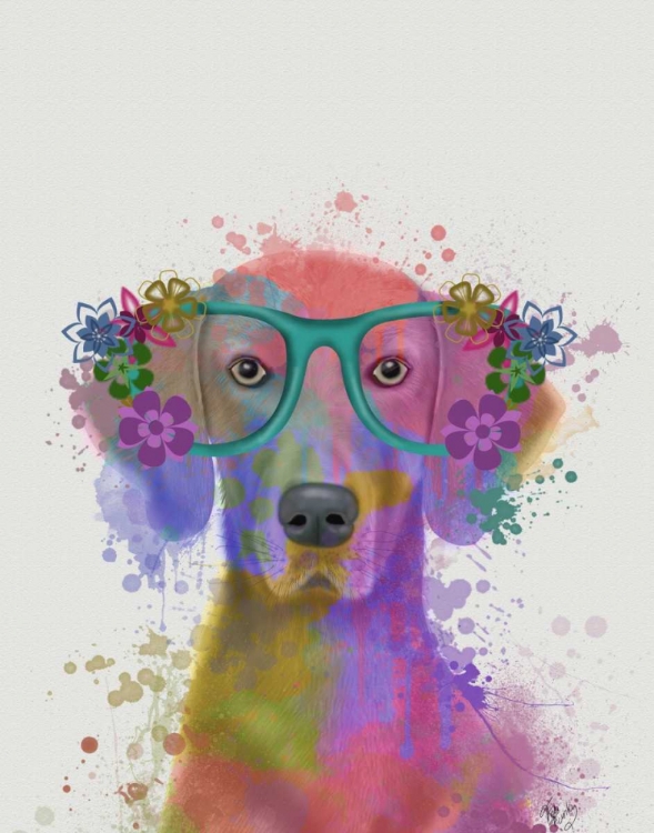 Picture of RAINBOW SPLASH WEIMARANER, PORTRAIT