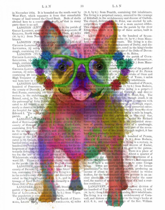 Picture of RAINBOW SPLASH FRENCH BULLDOG, FULL