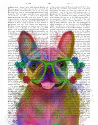 Picture of RAINBOW SPLASH FRENCH BULLDOG, PORTRAIT