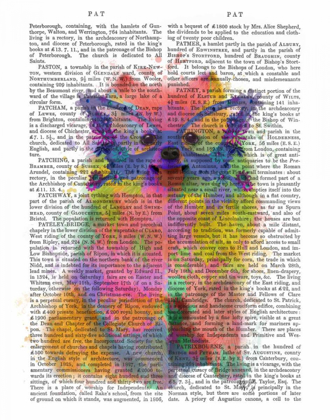 Picture of RAINBOW SPLASH POMERANIAN