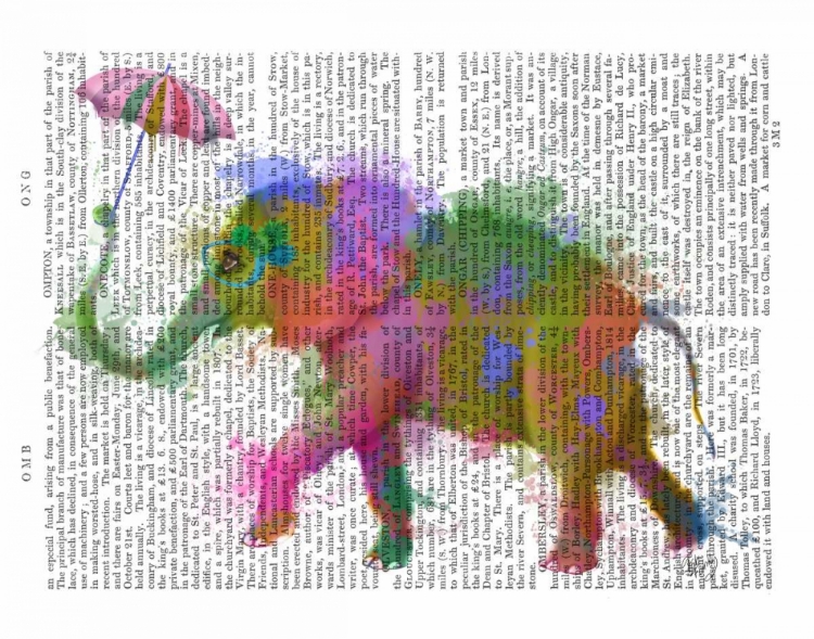 Picture of RAINBOW SPLASH ELEPHANT